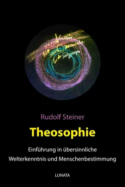 Rudolf Steiner Theosophie обложка книги