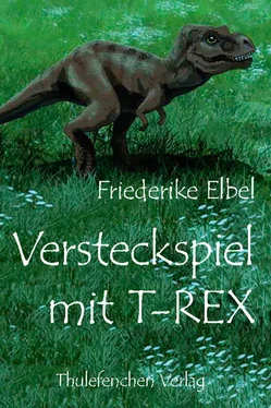 Friederike Elbel Versteckspiel mit T-Rex обложка книги