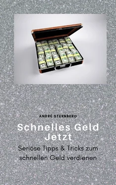 André Sternberg Schnelles Geld Jetzt обложка книги