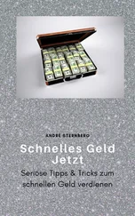 André Sternberg - Schnelles Geld Jetzt