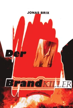 Jonas Brix Der Brandkiller обложка книги