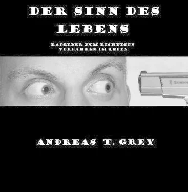 Andreas T. Grey Der Sinn des Lebens обложка книги