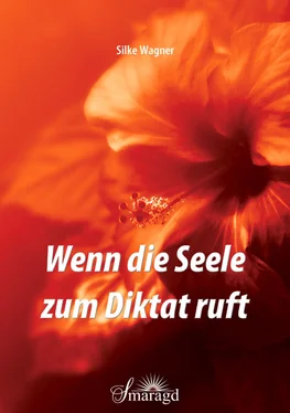 Silke Wagner Wenn die Seele zum Diktat ruft обложка книги