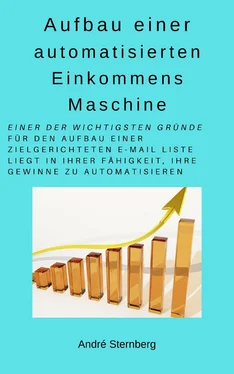 André Sternberg Aufbau einer automatisierten Einkommens Maschine обложка книги