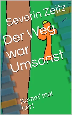 Severin Zeitz Der Weg war Umsonst обложка книги