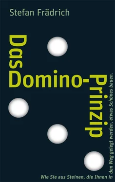 Stefan Frädrich Das Domino-Prinzip обложка книги