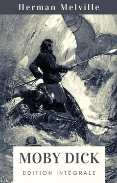 Herman Melville Herman Melville : Moby Dick (Édition intégrale) обложка книги