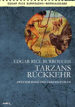 Edgar Burroughs TARZANS RÜCKKEHR обложка книги