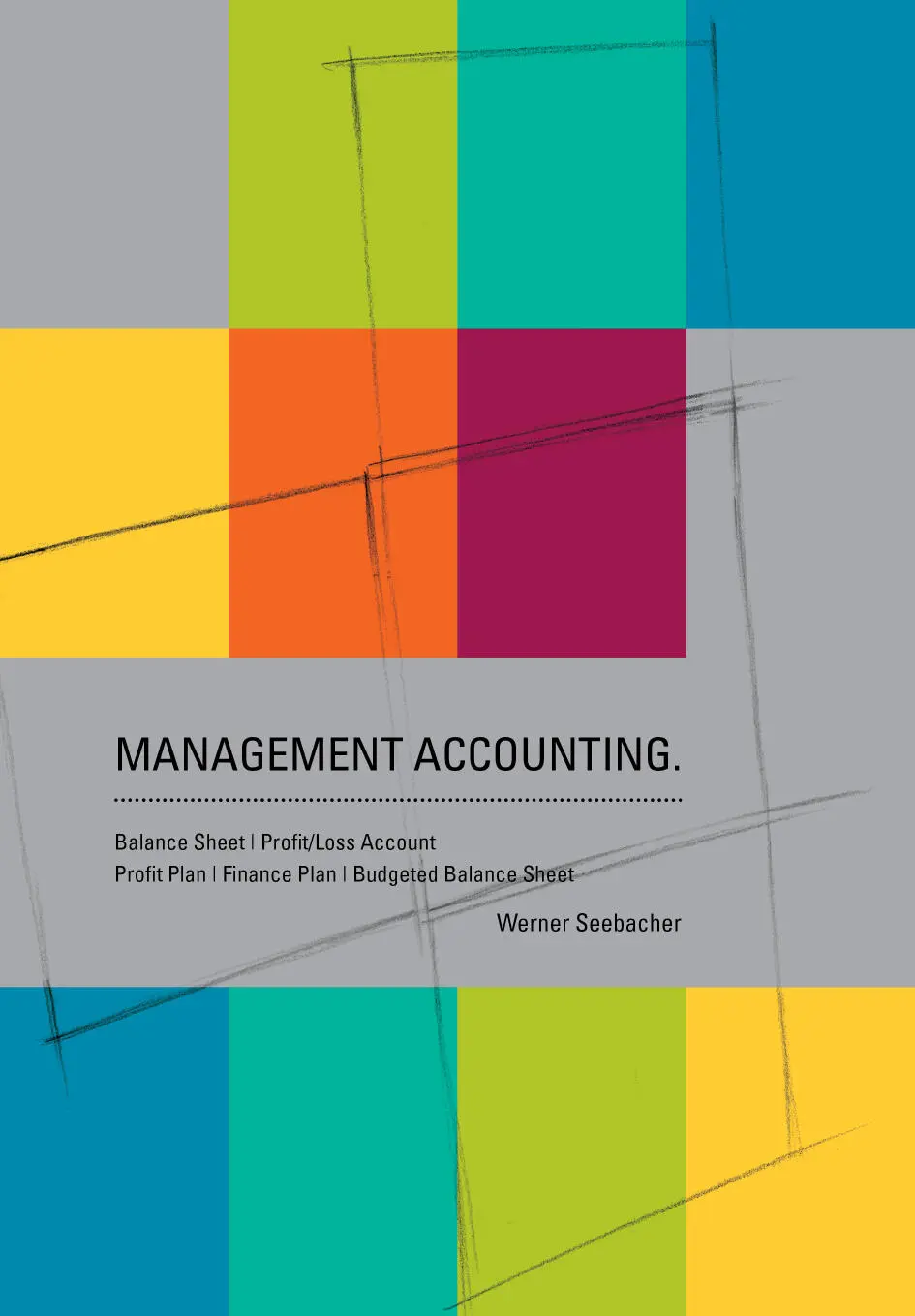 Werner Seebacher Management Accounting Balance Sheet ProfitLoss Account - фото 1