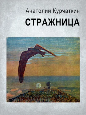 Анатолий Курчаткин Стражница обложка книги