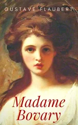 Gustave Flaubert - Gustave Flaubert - Madame Bovary. Sitten in der Provinz