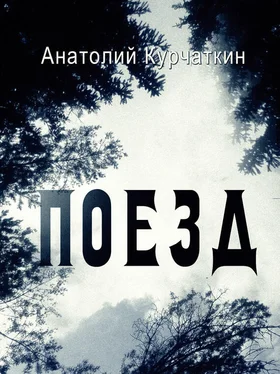 Анатолий Курчаткин Поезд обложка книги