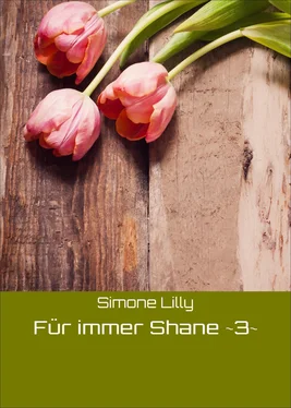 Simone Lilly Für immer Shane ~3~ обложка книги