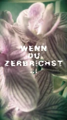 Franziska Wild - Wenn du zerbrichst