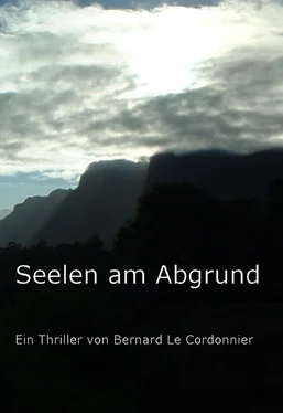 Bernd Schuster Seelen am Abgrund обложка книги