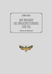 Ludwig Wolf - Der Trilogien des möglichen Plunders 5ter Teil