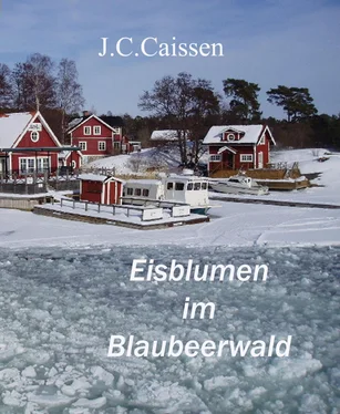 J.C. Caissen Eisblumen im Blaubeerwald обложка книги