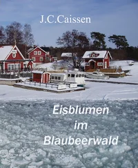 J.C. Caissen - Eisblumen im Blaubeerwald