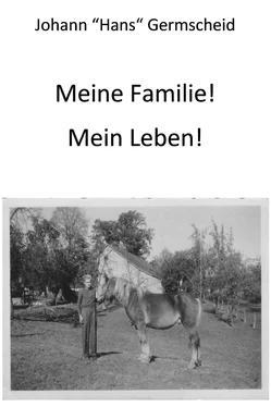 Hans Germscheid Meine Familie! Mein Leben! обложка книги