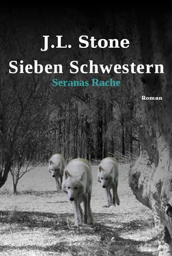 J.L. Stone Sieben Schwestern - Seranas Rache обложка книги