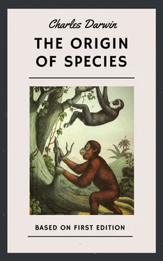 Charles Darwin Charles Darwin: The Origin of Species (First Edition) обложка книги