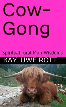 Kay Uwe Rott Cow-Gong обложка книги