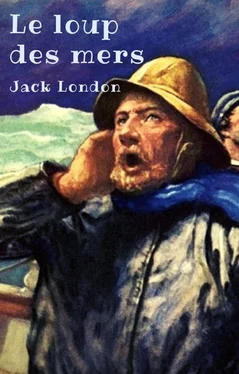 Jack London Le loup des mers (édition non abrégée) обложка книги
