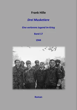 Frank Hille Drei Musketiere - Eine verlorene Jugend im Krieg, Band 17 обложка книги