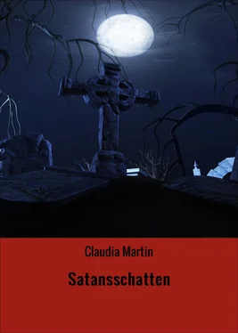 Claudia Martin Satansschatten обложка книги