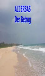 Ali Erbas - Der Betrug
