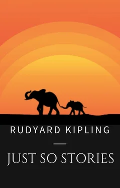 Rudyard Kipling Rudyard Kipling: Just So Stories обложка книги