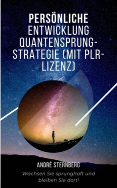 André Sternberg Persönliche Entwicklung Quantensprung-Strategie обложка книги