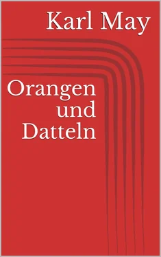 Karl May Orangen und Datteln обложка книги