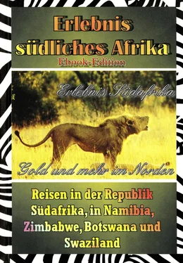 Wolfgang Brugger Erlebnis Südafrika: Gold und mehr im Norden (Textversion) обложка книги