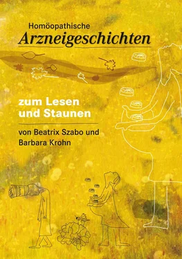 Beatrix Szabó Homöopathische Arzneigeschichten обложка книги