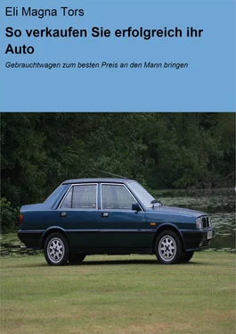 Eli Magna Tors So verkaufen Sie erfolgreich ihr Auto обложка книги