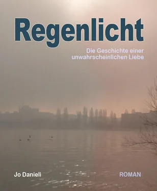 Jo Danieli Regenlicht обложка книги