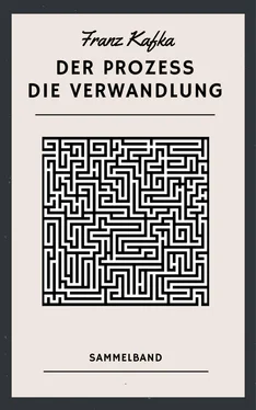 Franz Kafka Der Prozess. Die Verwandlung обложка книги