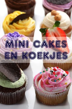 Bernhard Long Mini Cakes en Koekjes обложка книги