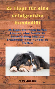 André Sternberg 25 Tipps für eine erfolgreiche Hunde Diät обложка книги