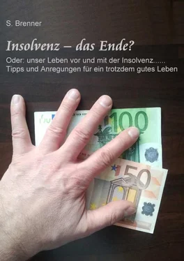 S. Brenner Insolvenz – das Ende? обложка книги