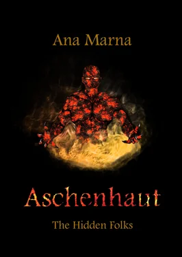 Ana Marna Aschenhaut обложка книги