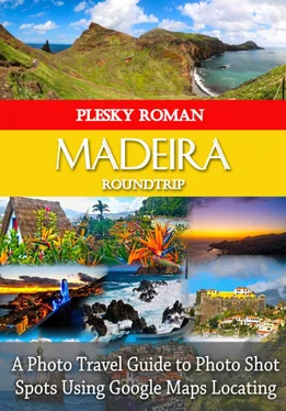Roman Plesky Madeira Roundtrip обложка книги