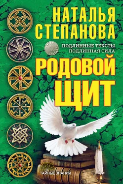 Наталья Степанова Родовой щит обложка книги