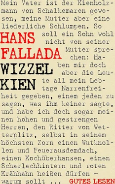 Hans Fallada Wizzel Kien обложка книги