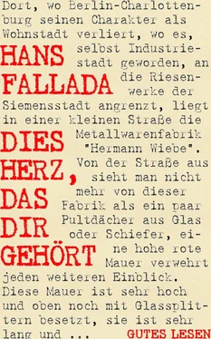 Hans Fallada Dies Herz, das dir gehört обложка книги