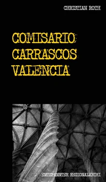 Christian Roth Comisario Carrascos Valencia обложка книги