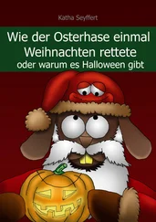 Katha Seyffert - Wie der Osterhase einmal Weihnachten rettete
