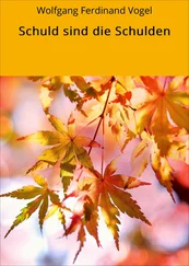 Wolfgang Ferdinand Vogel - Schuld sind die Schulden