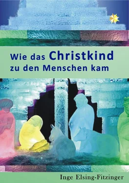 Inge Elsing-Fitzinger Wie das Christkind zu den Menschen kam обложка книги